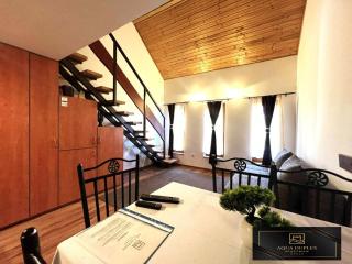 Aqua Duplex Apartman - 4