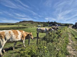 Craven Garth Cottages - 6