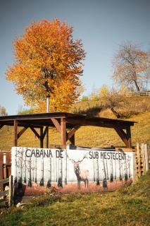 Cabana de sub mesteceni - 8