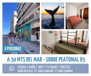 Departamento peatonal 85 - 0