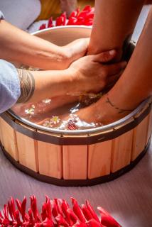 Refugio inmerso en el bosque en Aldeia Rizoma - 8