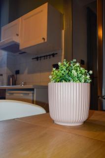 Monginevro 15 min from the center - 9