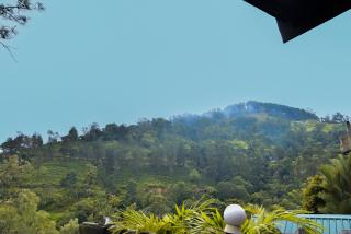 Pearl Vista Ella - 0