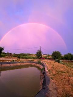 Transylvania WINE - 4