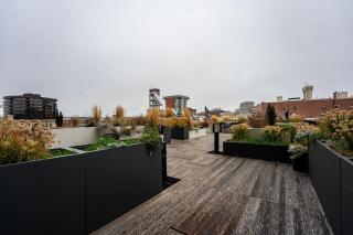 Heart of Downtown Apt with City View, Walkable to HotSpots - 3