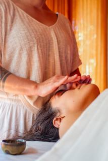 Refugio inmerso en el bosque en Aldeia Rizoma - 6