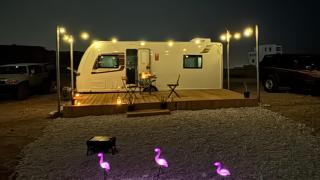 Flamingo Caravan - Ash Shāb - 9