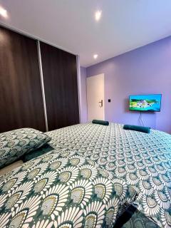 T3 moderne avec parking à 15 min de Lyon - 5