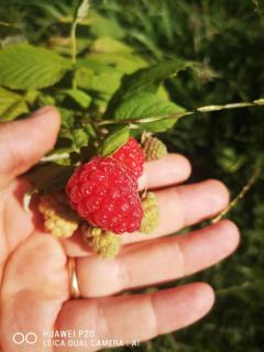 Agriturismo Pentafora - 4