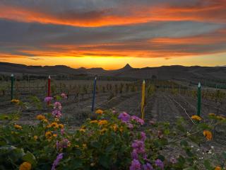 Agriturismo Green Planet - 5