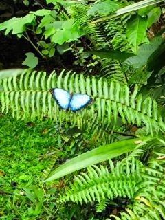 Cabaña escondida Venecia - 9