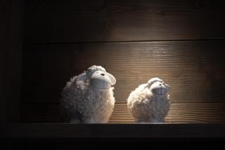 3 bedrooms Marmottes - Courchevel 1850 - 6