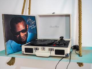 Cheyf in Grbavička - 3