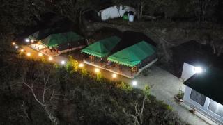 The jungle book by lake & woods - 3