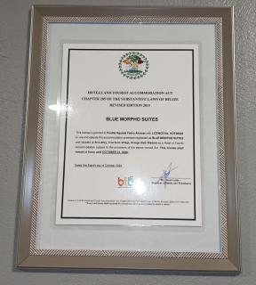 Blue Morpho Suite - 6