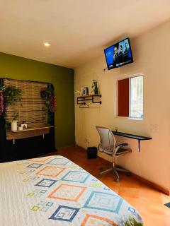 Única habitación privada y céntrica - 7