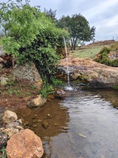 CradleLicious Farm Mpshe cottage - 9