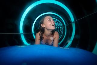 Holiday Inn Resort Orlando Suites - Waterpark by IHG - 6