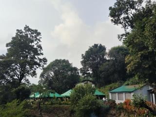 The jungle book by lake & woods - 8