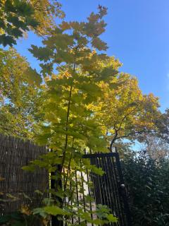 Green Apartament Żoliborz - 5