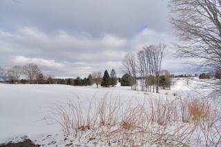 Bellaire Townhome on Summit Mtn with 2 Balconies! - Bellaire - 8