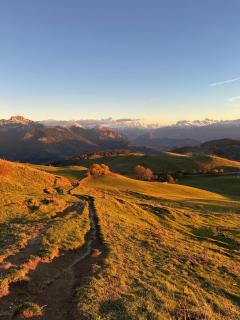 Les Gîtes Du Plane - Saint-André-de-Boëge - 9
