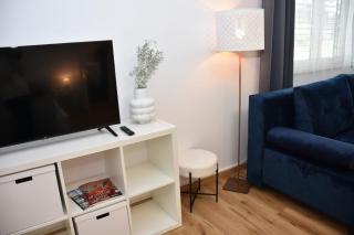 Studio apartment near center - 8