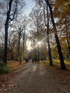 Green Apartament Żoliborz - 9