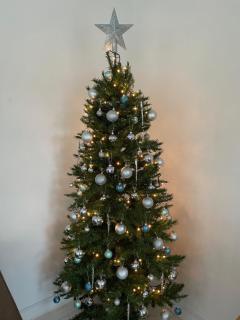 Saltwater Cottage - 6