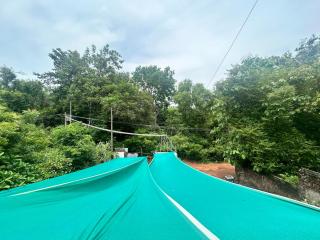 The Last Stop Backpackers Hostel - 8