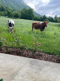 Kiwi Chalet - Mountain Views & Cozy NZ Vibes - 8