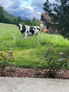 Kiwi Chalet - Mountain Views & Cozy NZ Vibes - 1