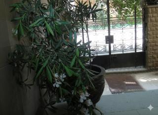 Muse& pyramids view inn - 9