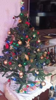 Pousada da Maria Guapa - 8