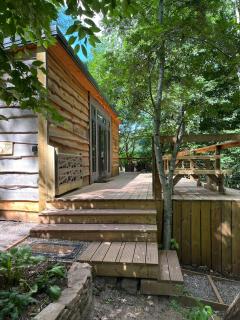 Ty Cwtch Cabin - secluded woodland cabin & covered hot tub - 0