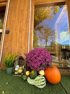 Zebikuckó vendégház - 9