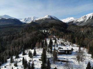 Bilyi Slon Gadzhyna - 3