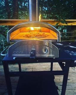 Ty Cwtch Cabin - secluded woodland cabin & covered hot tub - 9