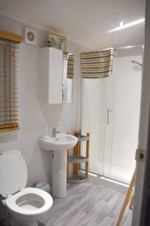 Ty Cwtch Cabin - secluded woodland cabin & covered hot tub - 6