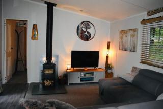 Ty Cwtch Cabin - secluded woodland cabin & covered hot tub - 5