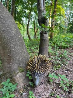 Ty Cwtch Cabin - secluded woodland cabin & covered hot tub - 1
