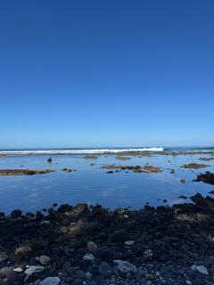 Ti coin Charmant - 1