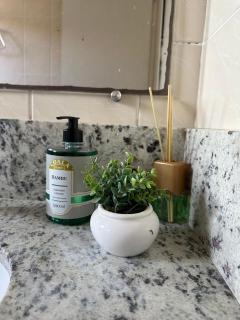 com churrasqueira em Canasvieiras - 3