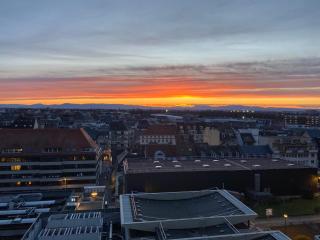 Appartement place des Halles - 1