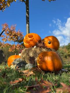 RESORT SALIXA u Poděbrad - 5