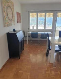 Lugano LakeView Apartment with Self Check-in & Private Parking on Request - 6