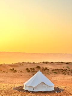 Stars Dunce Camp - 0