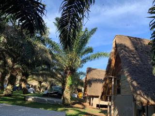 Bugoma Palms Resort Sand Beach - 8