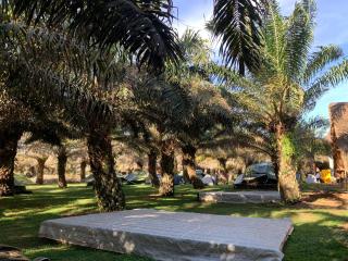 Bugoma Palms Resort Sand Beach - 7