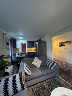 Northern lights Entire Apartment - 4